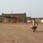 mali_1.jpg