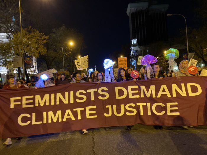 cop25_apwld_feminists_at_march.jpg